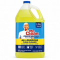 Mr. Clean Professional All-Purpose Floor Cleaner (3.78L Gallon)